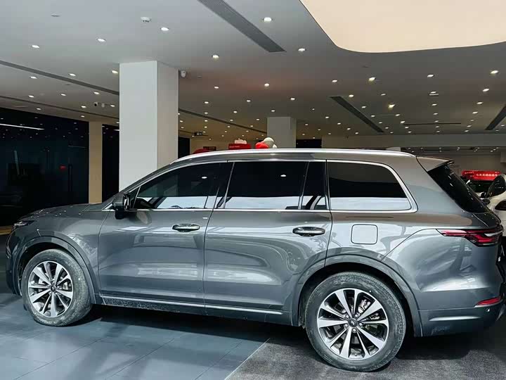 Фото 9 - LiXiang One