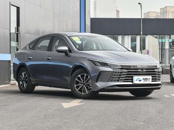 Фото 3 - BYD Destroyer 05