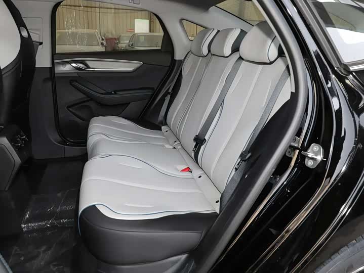 Фото 6 - BYD Destroyer 05