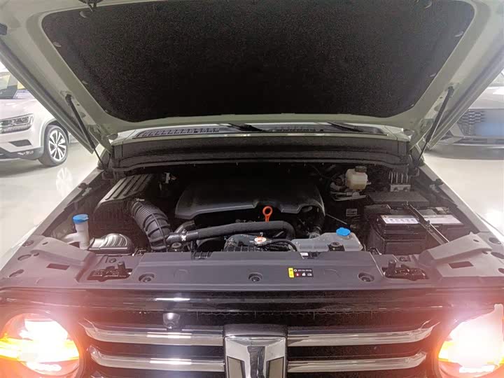 Фото 20 - Tank 300