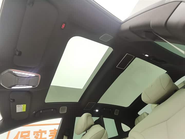 Фото 14 - Denza Z9