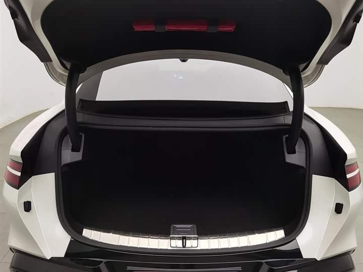 Фото 16 - Denza Z9