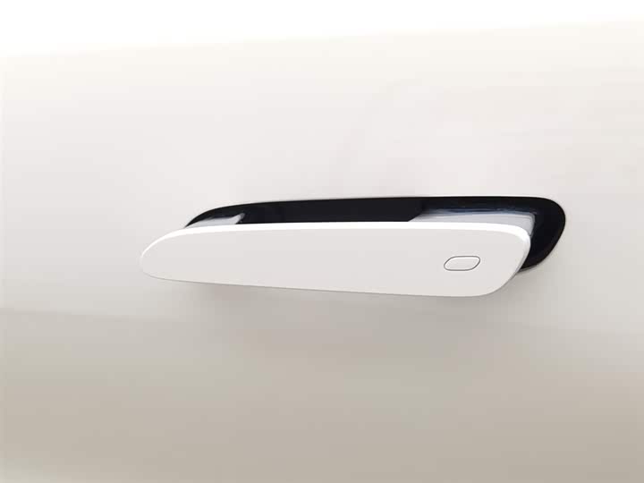 Фото 18 - Denza Z9