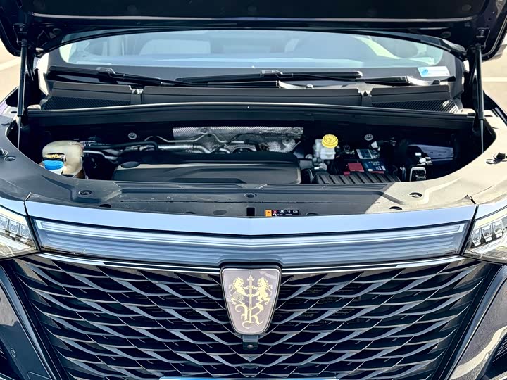 Фото 23 - Roewe iMax 8