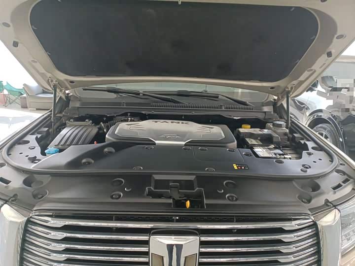 Фото 20 - Tank 500