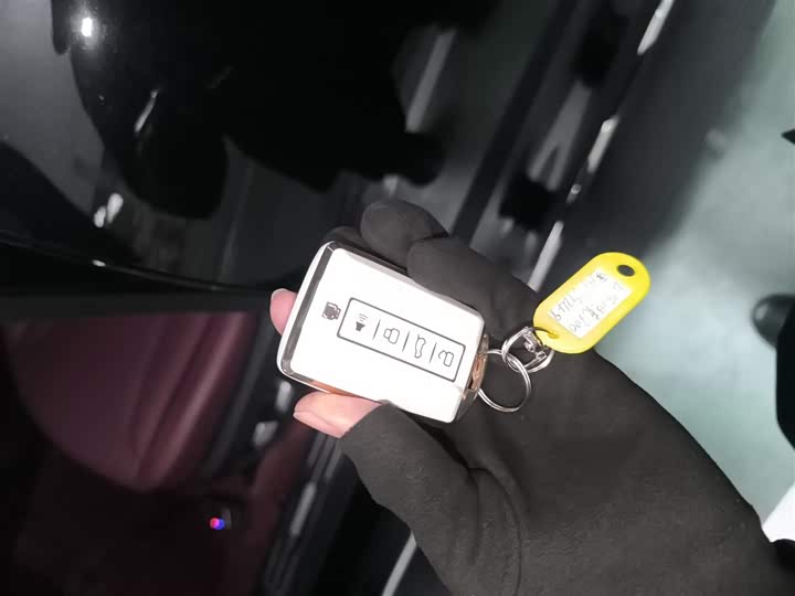 Фото 9 - Tank 300 Hybrid