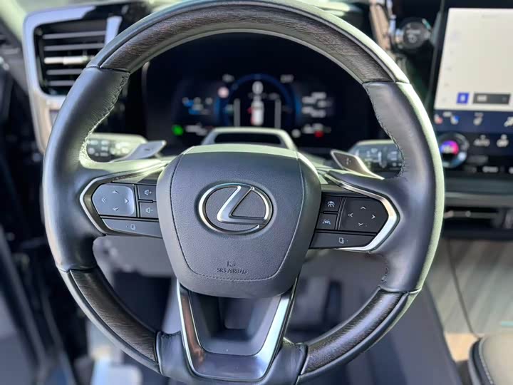 Фото 10 - Lexus LM