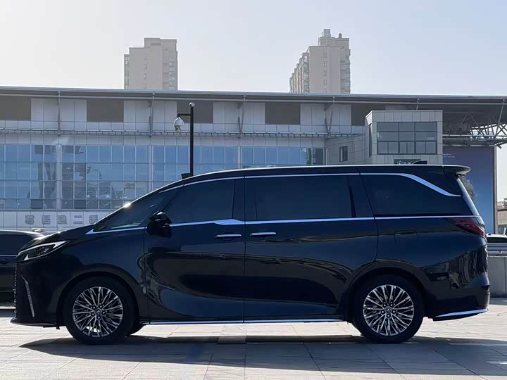 Фото 3 - Lexus LM