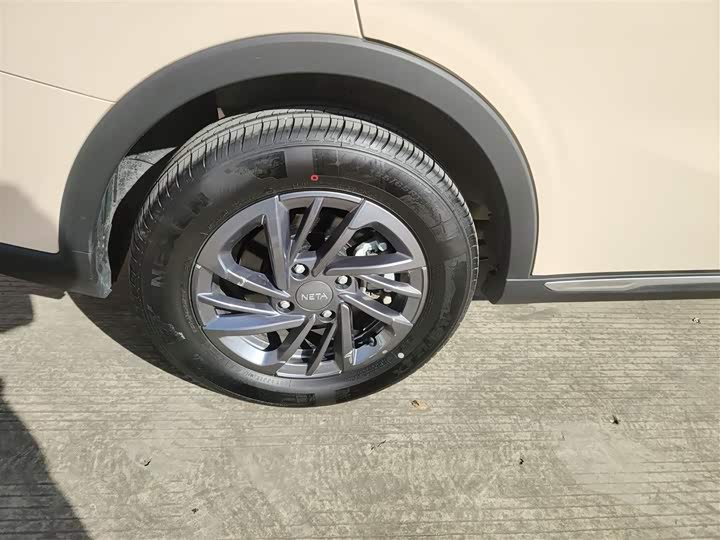 Фото 26 - Hozon AYA