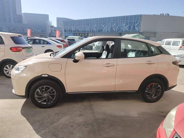 Фото 5 - Hozon AYA