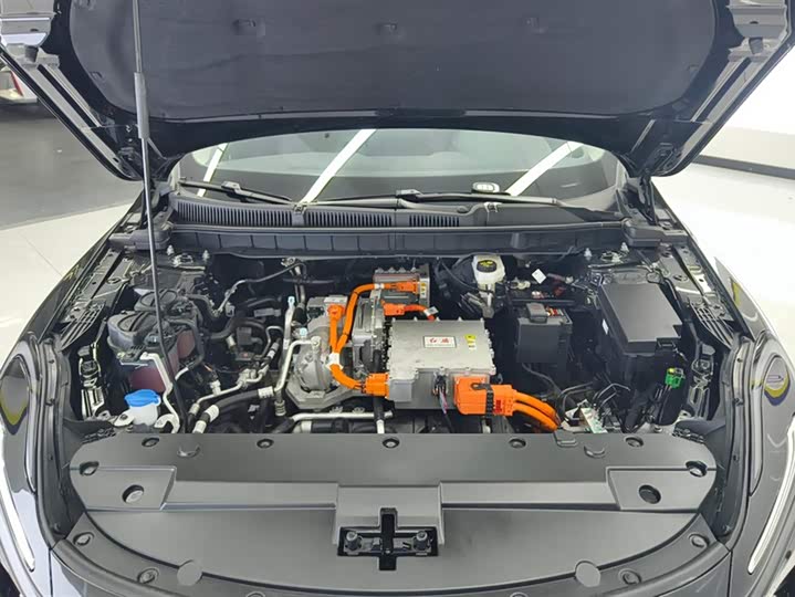 Фото 10 - Hongqi E-QM5