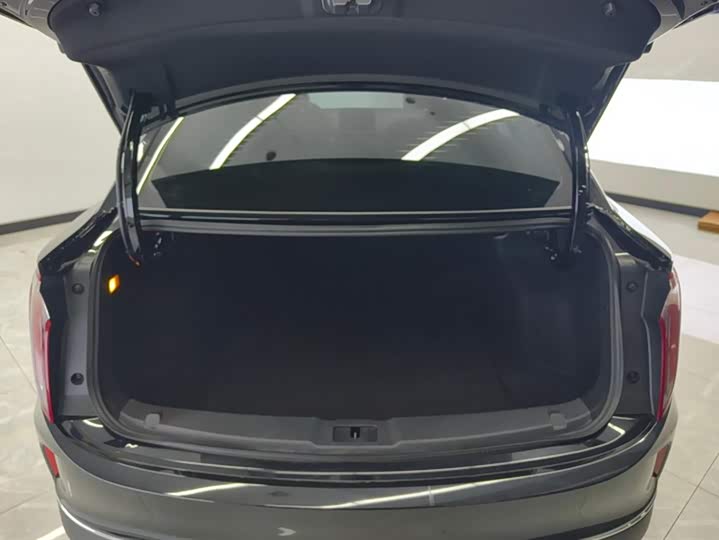 Фото 4 - Hongqi E-QM5