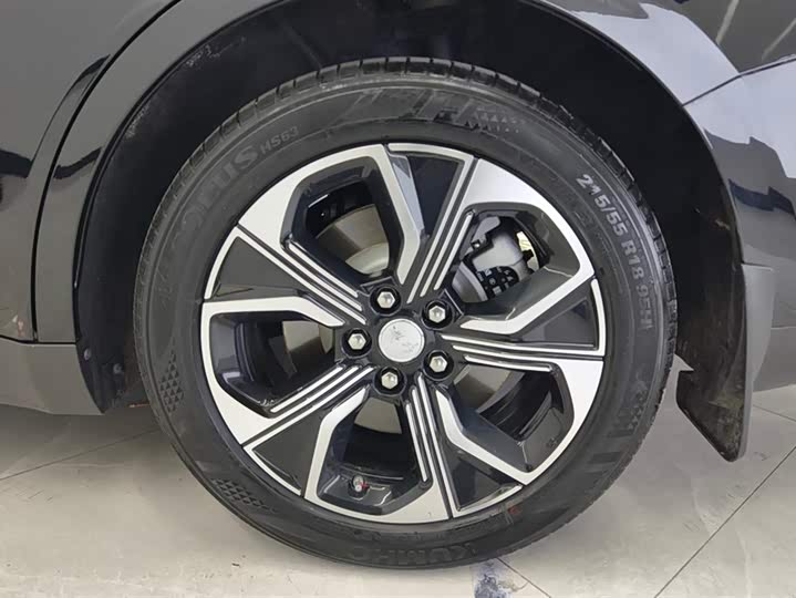 Фото 6 - Hongqi E-QM5