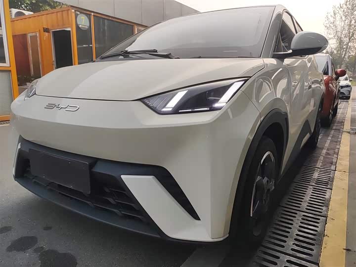 Фото 1 - BYD Seagull