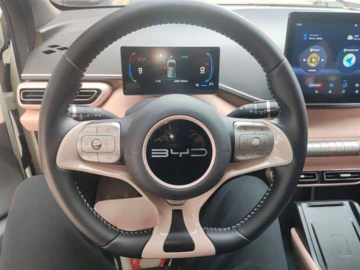 Фото 11 - BYD Seagull