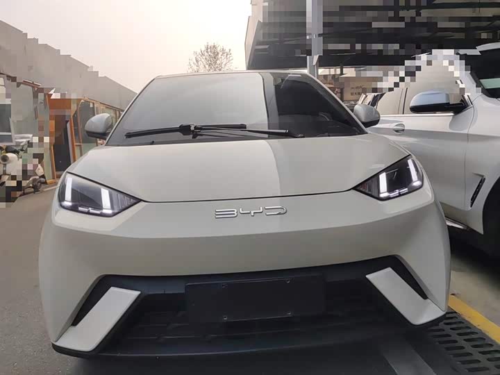 Фото 3 - BYD Seagull