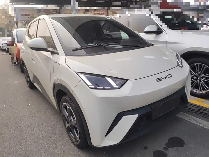 Фото 4 - BYD Seagull