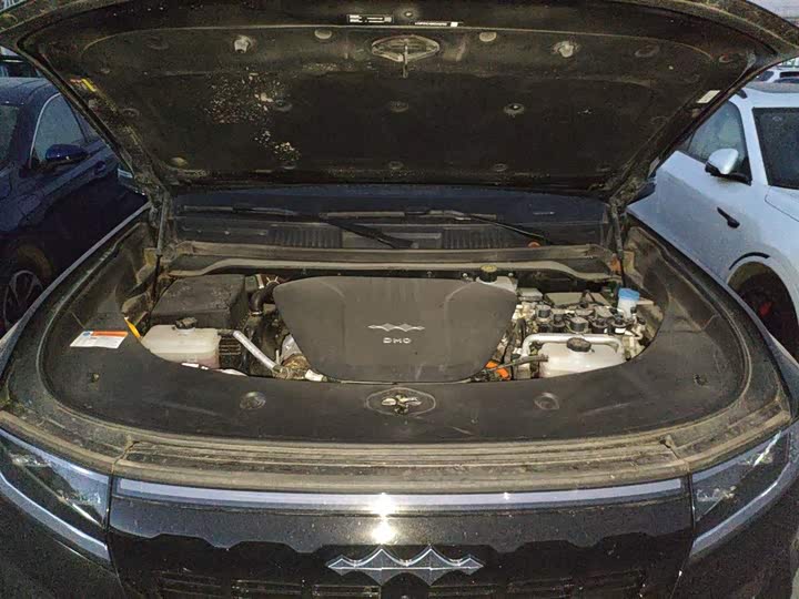 Фото 20 - BYD FangChengBao Leopard 8