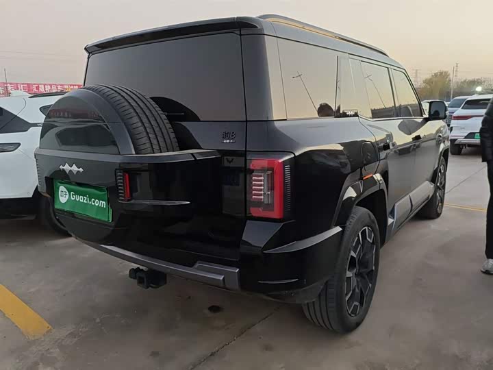 Фото 7 - BYD FangChengBao Leopard 8