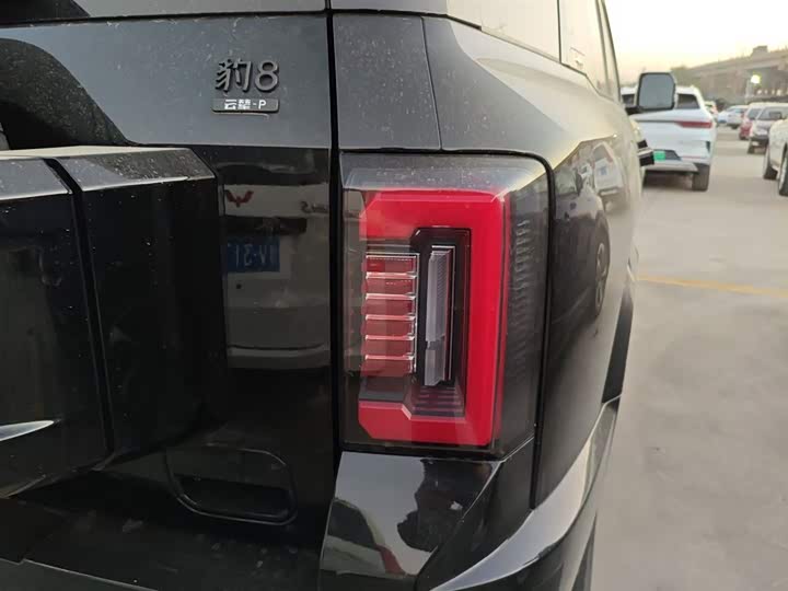 Фото 8 - BYD FangChengBao Leopard 8