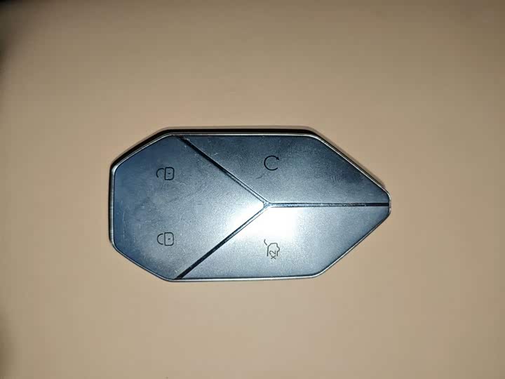 Фото 9 - BYD FangChengBao Leopard 8