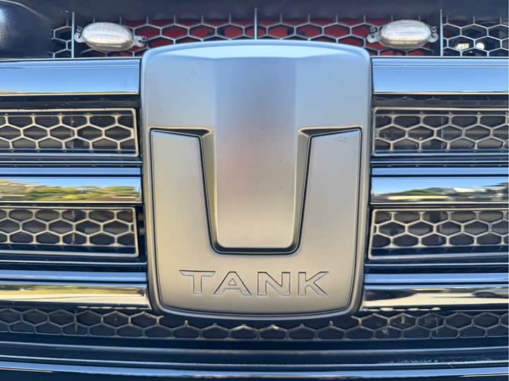 Фото 6 - Tank 300