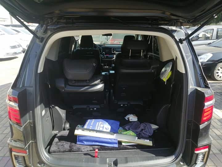 Фото 19 - Honda Elysion