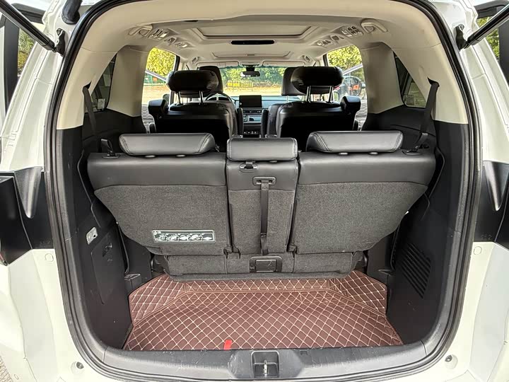 Фото 14 - Honda Elysion