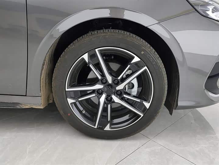 Фото 6 - Geely Binrui