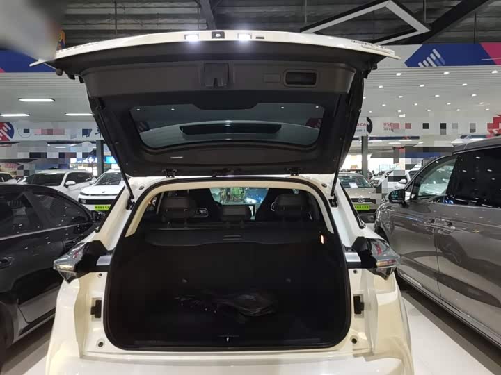 Фото 19 - Hozon U