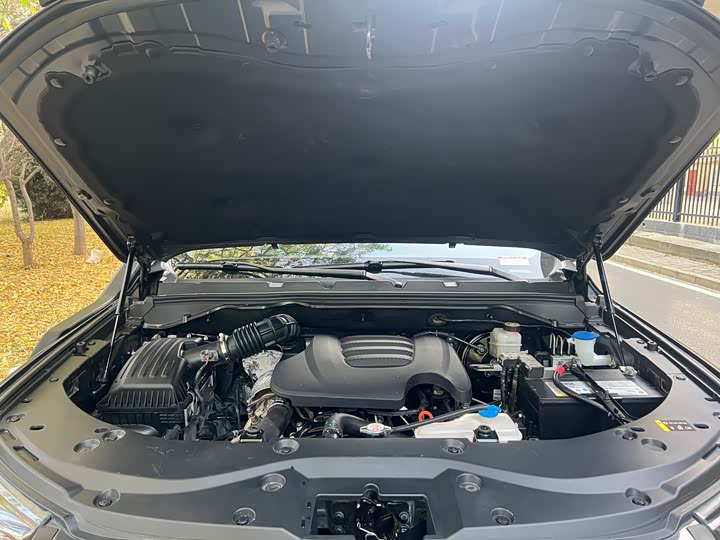 Фото 17 - Great Wall Pao