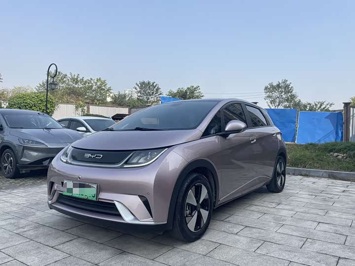 Фото 1 - BYD Dolphin