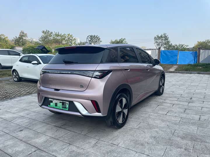 Фото 11 - BYD Dolphin