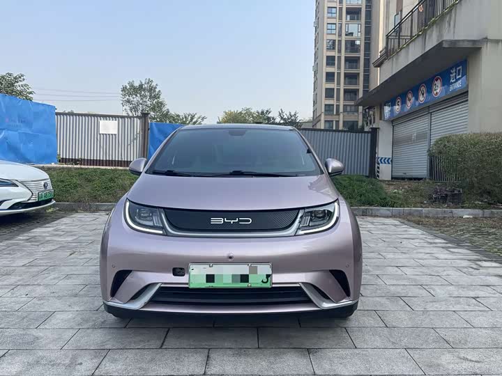 Фото 2 - BYD Dolphin
