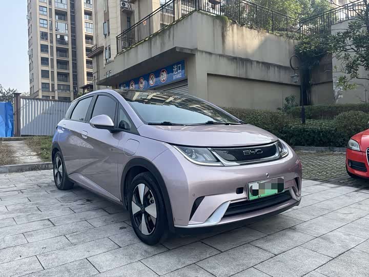 Фото 3 - BYD Dolphin