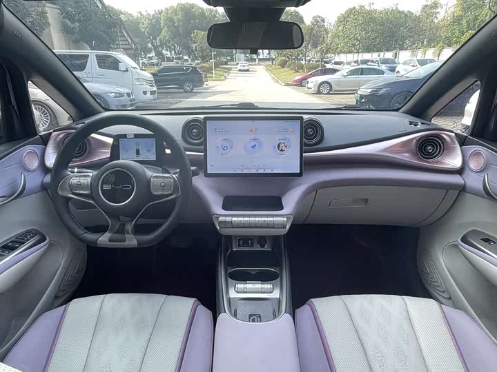 Фото 4 - BYD Dolphin