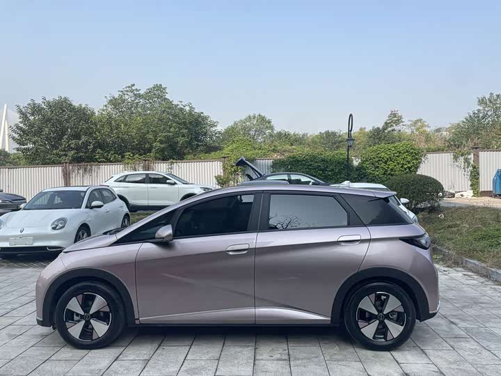 Фото 9 - BYD Dolphin