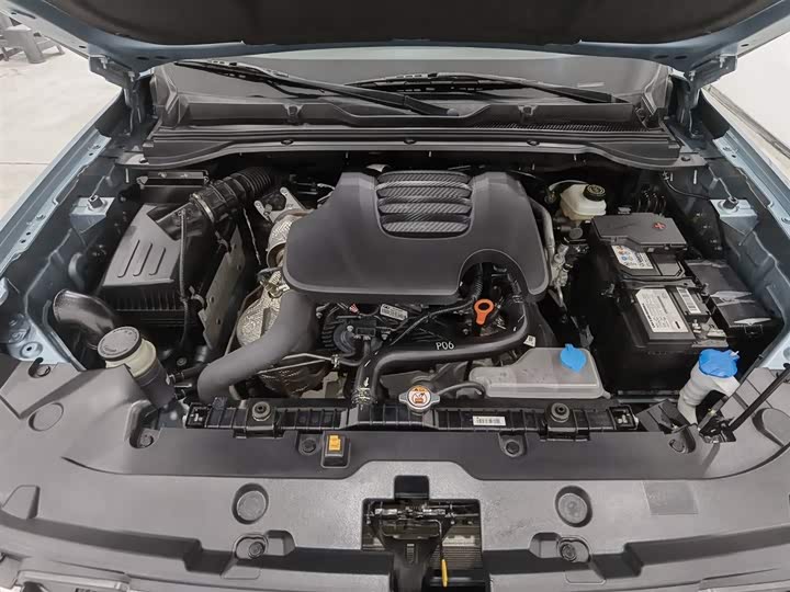 Фото 6 - Great Wall King Kong Poer