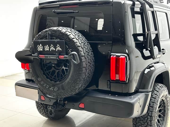 Фото 15 - Tank 300