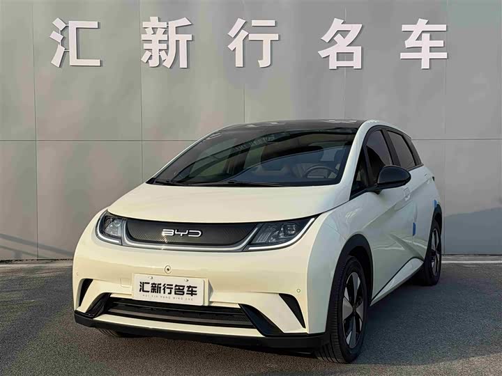 Фото 1 - BYD Dolphin
