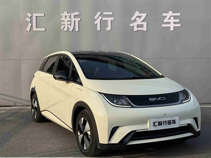 Фото 2 - BYD Dolphin