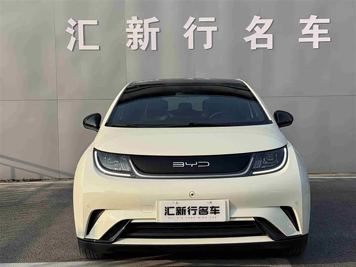 Фото 3 - BYD Dolphin