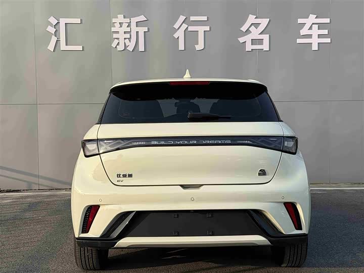 Фото 4 - BYD Dolphin