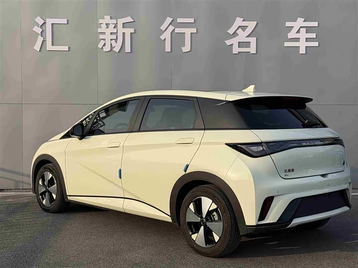 Фото 5 - BYD Dolphin