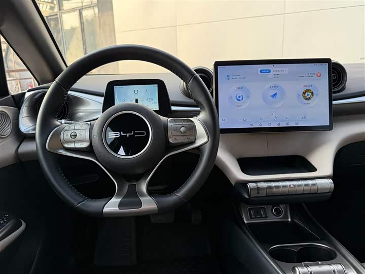 Фото 7 - BYD Dolphin