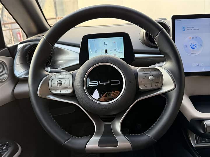 Фото 8 - BYD Dolphin