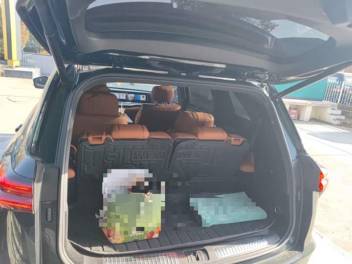 Фото 19 - Wey Lanshan