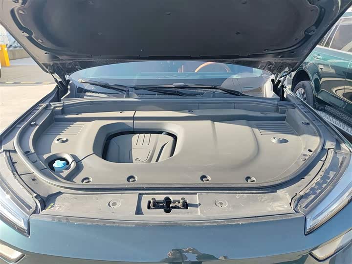 Фото 20 - Wey Lanshan