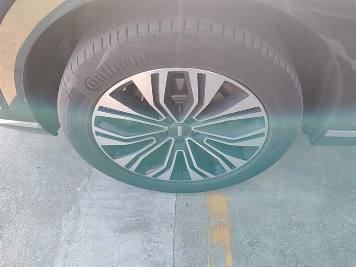 Фото 23 - Wey Lanshan