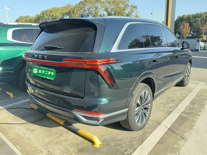 Фото 7 - Wey Lanshan